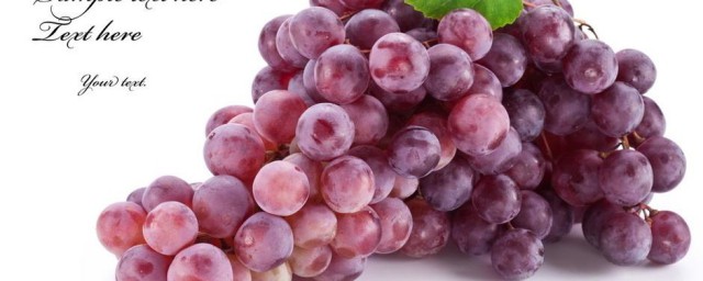 葡萄有什么营养(黑加仑葡萄有什么营养)