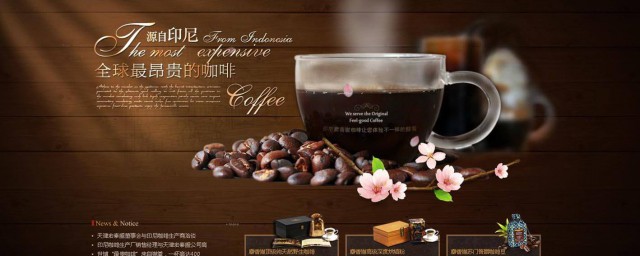 猫屎咖啡是猫咪的粪便吗(猫屎咖啡真是猫的粪便吗)