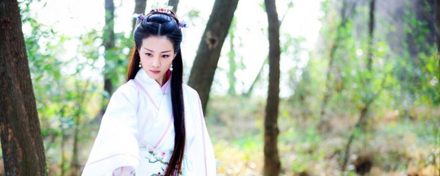 极品家丁剧情简介(极品家丁电视剧的剧情)