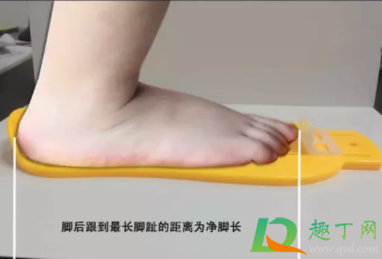 欧洲码比中国正常码会大吗(欧洲码数和中国一样吗)