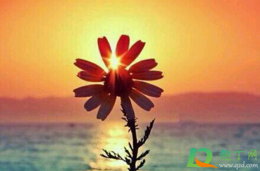 2021年1月有哪些节日纪念日(2021年1月节日有哪些节日及时间)