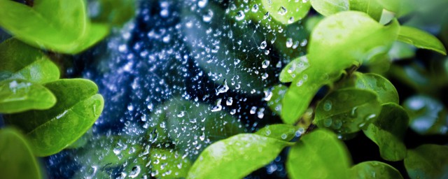 这首诗是在谁写的(这首诗是写给谁的)