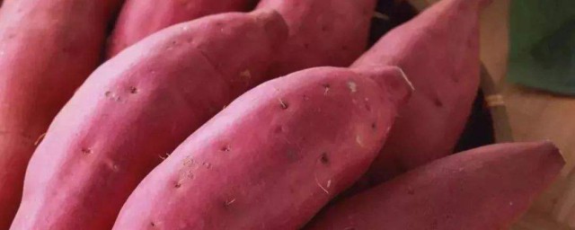 红薯营养价值介绍(各种红薯的营养价值)