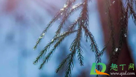 仲冬时节是什么意思(仲冬至是什么意思)