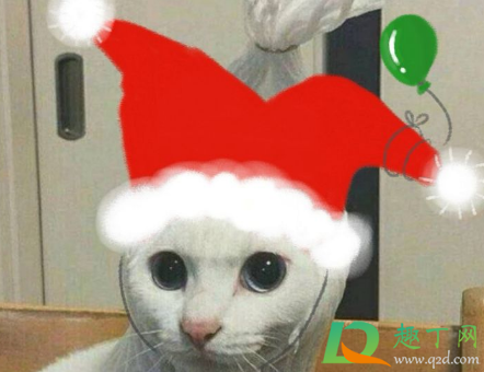 微信圣诞帽子怎么去掉(微信头像上的圣诞帽怎么去掉) 微信圣诞帽子怎么去掉(微信头像上的圣诞帽怎么去掉)