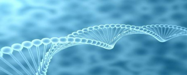 学习初中生物方法(怎样学生物的方法 初中)