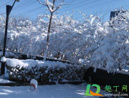 大雪节气哪里下雪了(大雪节气下雨)
