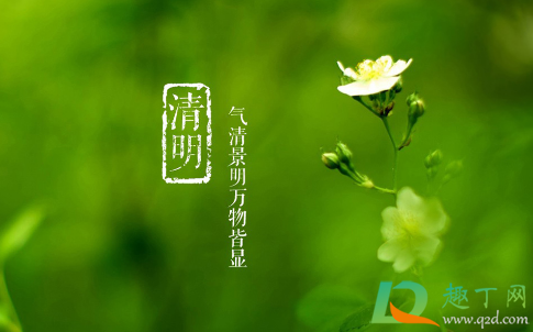 2021年清明节是几月几号放假(清明节2021年几月几号放假通知)