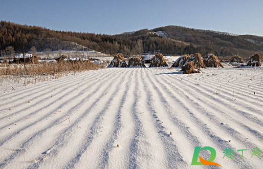 2021年1月有冷空气吗(2021年1月份还有冷空气吗) 2021年1月有冷空气吗(2021年1月份还有冷空气吗)