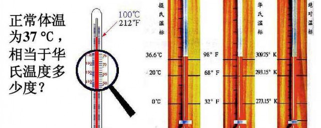 成年人的正常体温(一般成人的正常体温是多少)
