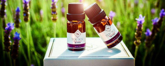 玫瑰精油的主要功效(玫瑰精油的功效与作用点)