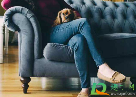 跷二郎腿导致的腿弯怎么矫正(跷二郎腿导致腿弯怎么变直)