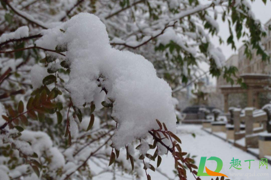 2021年1月会下雪吗(2021年1月几号下雪了) 2021年1月会下雪吗(2021年1月几号下雪了)