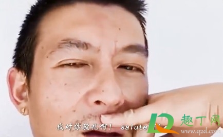 我向你敬礼salute什么梗(向你敬礼呀salute)