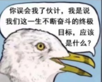 去码头整点薯条啥梗是什么意思(去码头整点薯条)