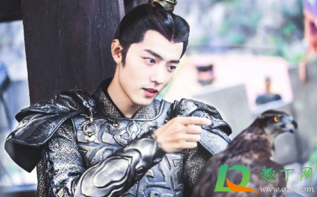 国家级保护动物能拍电视剧吗(国家二级保护动物可以用来拍戏吗)