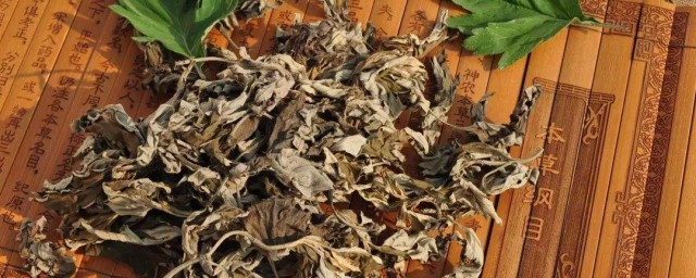 艾叶煮水后的用法(艾叶能用开水煮吗)