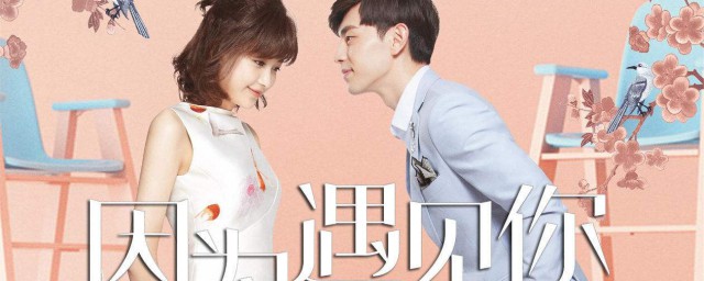 你都追过吗(你会追我吗)