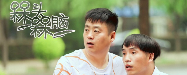 槑头槑脑剧情简介(槑头槑脑大结局)