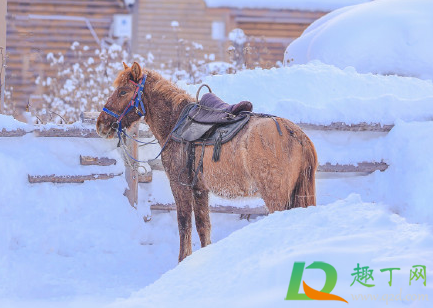 季冬时节什么意思(冬至这个季节是什么意思) 季冬时节什么意思(冬至这个季节是什么意思)