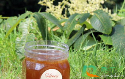 蜂蜜稀如水是怎么回事(蜂蜜很稀是什么原因) 蜂蜜稀如水是怎么回事(蜂蜜很稀是什么原因)