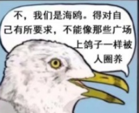 去码头整点薯条啥梗是什么意思(去码头整点薯条)