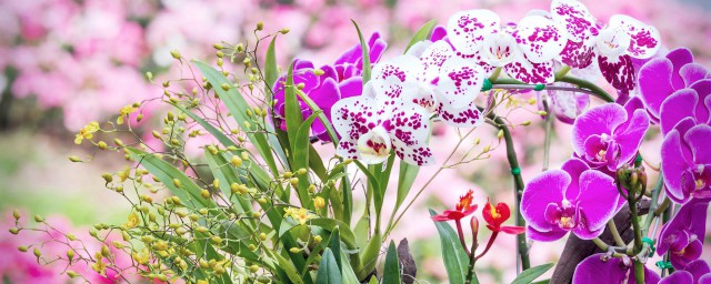 这样最适宜(什么样才算适合)