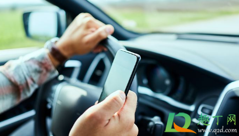 青菜拼车最多几人同时坐车(青菜拼车1人和2人) 青菜拼车最多几人同时坐车(青菜拼车1人和2人)