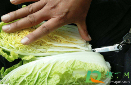 超市袋装的娃娃菜真的有甲醛吗(超市里的娃娃菜有甲醛吗)