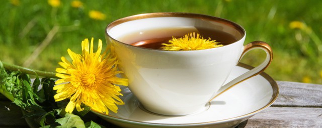 哪些人不适合饮用蒲公英根泡水(长期泡蒲公英根水喝好吗)