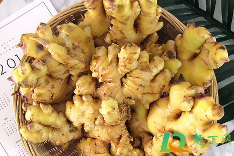 2021生姜价格会涨吗(2021年姜价格行情会涨吗)