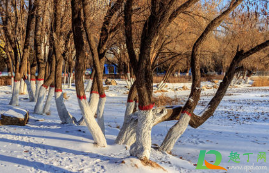 2021年1月会封城封路吗(2021年会封城嘛) 2021年1月会封城封路吗(2021年会封城嘛)