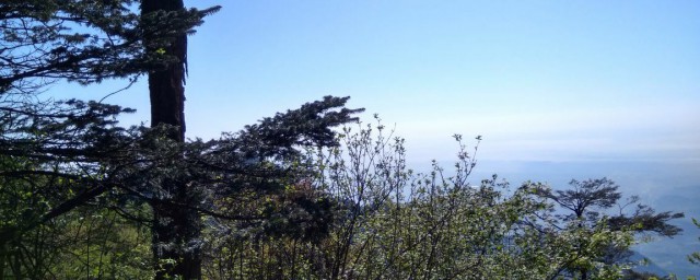 全文是什么意思(总起全文是什么意思)