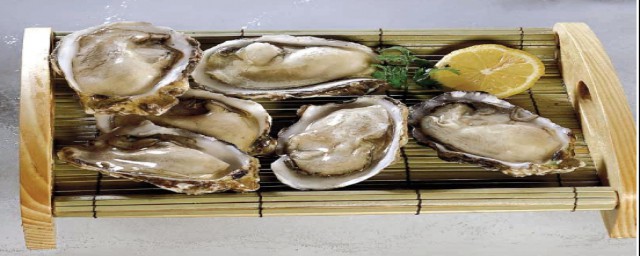 牡蛎的好处(牡蛎的好处与坏处)