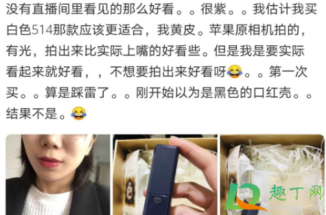 cpb2020圣诞黑天鹅唇膏515好看吗