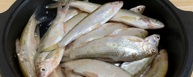 动手术后吃鱼的好处(手术过后吃鱼好吗)