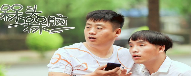 岳光的电视剧介绍(岳云鹏演的电视剧)