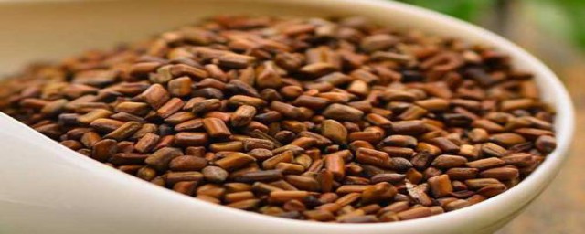 决明子有什么用(过期的决明子有什么用)