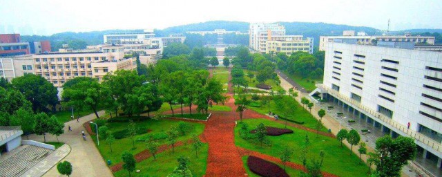 班委会组成和职责介绍(班委会组成的成员有哪些)