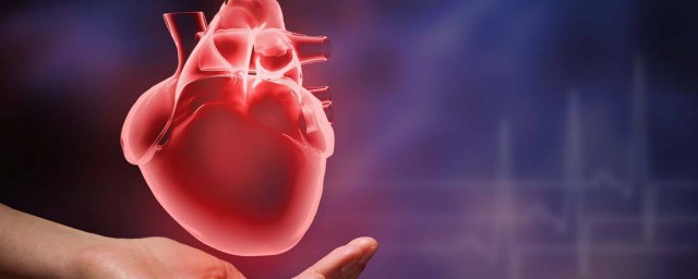 心脏的保养方法(心脏如何保养常识)