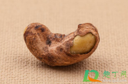 腰果买什么样的好(腰果选什么样的好) 腰果买什么样的好(腰果选什么样的好)