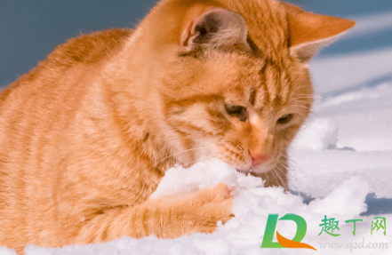 2020仲冬时节祝福语朋友圈怎么发(立秋祝福语朋友圈2020)