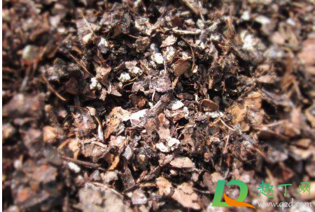 怎样把生土变成好土(如何让生土快速成熟土)