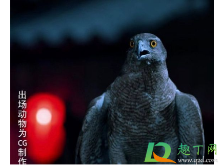 国家级保护动物能拍电视剧吗(国家二级保护动物可以用来拍戏吗)