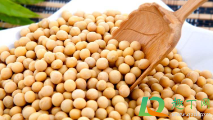 黄豆里的虫子有毒吗(生了虫子的黄豆还能吃吗是否有毒)