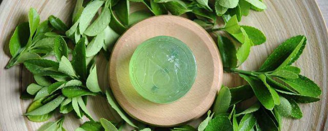 茶树精油的注意事项(茶树精油的功效与禁忌)