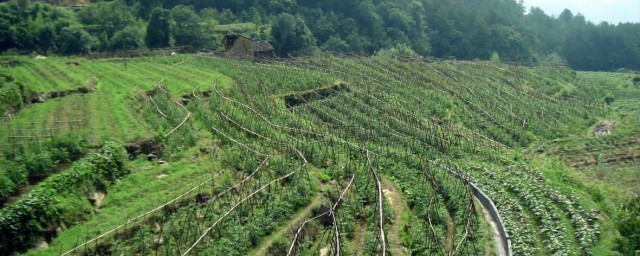 以下意见供参考(意见仅供参考是什么意思)