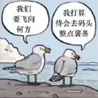 去码头整点薯条啥梗是什么意思(去码头整点薯条)