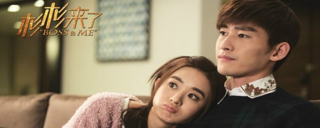 它们都分别讲的什么故事(这篇故事主要讲了什么)