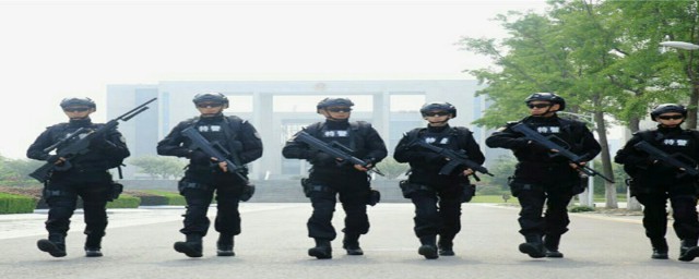 特警力量陶静抓小偷剧情介绍(特警力量哪一集知道陶静身份)